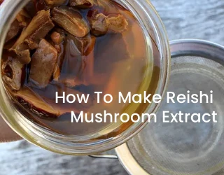 Πώς να φτιάξετε εκχύλισμα μανιταριού Reishi;