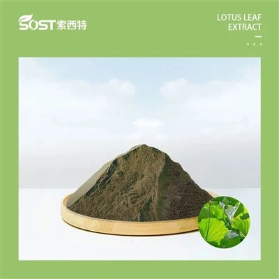 Εκχύλισμα Φύλλων Lotus Nuciferine 5%