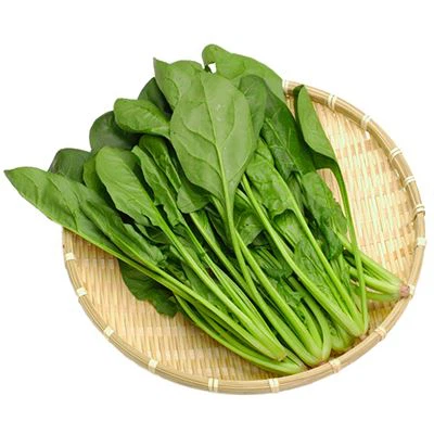 Freeze dried spinach extract powder
