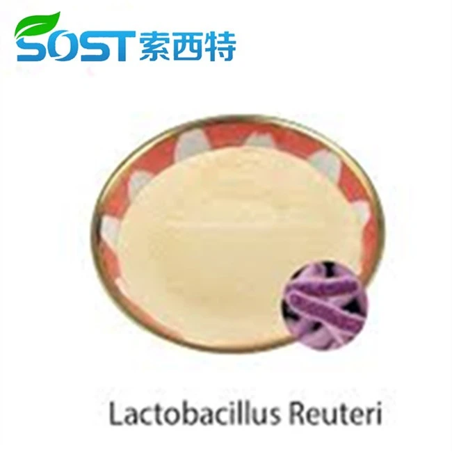 Lactobacillus Reuteri