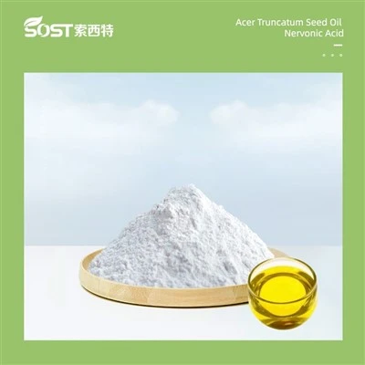 Acer Truncatum Seed Oil Nervonic Acid 90%